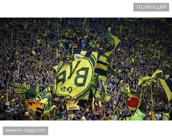 德甲球迷文化调查:多特蒙德主场观众数领先全联赛 德甲球迷文化调查:多特蒙德主场观众数领先全联赛